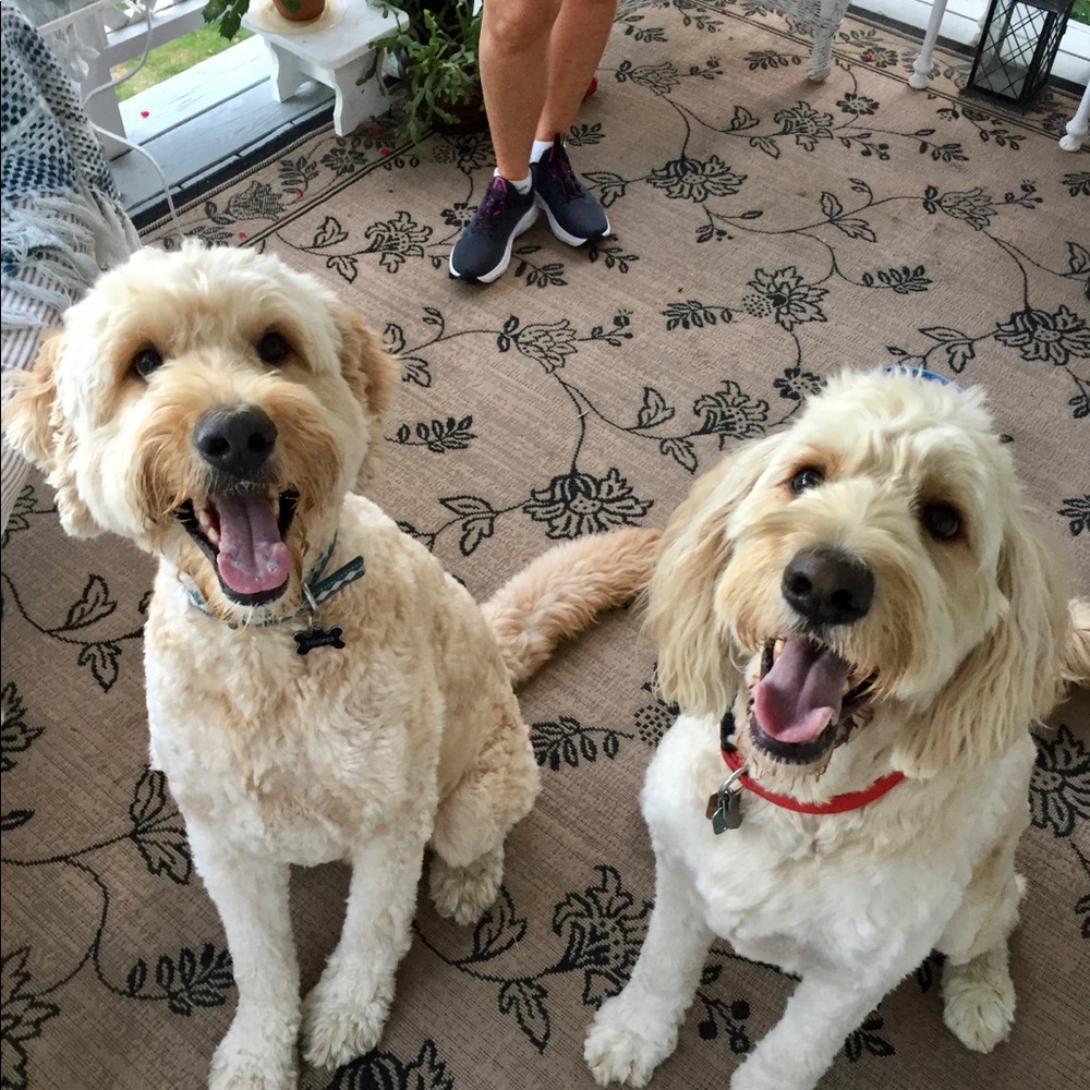 Meet your Posher, Lauren